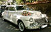 DODGE CUSTOM DE LUXE D-24 (46)