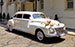 DODGE CUSTOM DE LUXE D-24 (46)